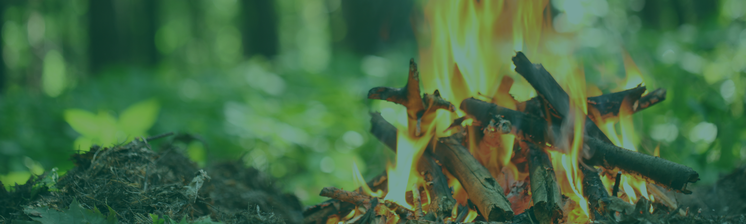 2 juin 2023 | Modification de l’interdiction de faire des feux à ciel ouvert en forêt ou à proximité